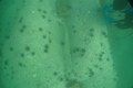 PA300004.JPG