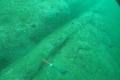 PA300026.JPG