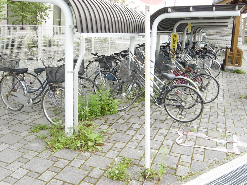 大槌駅駐輪所