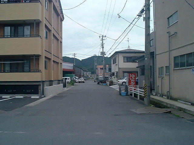 東道院の通り