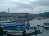須崎