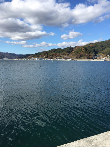 防波堤からの漁港