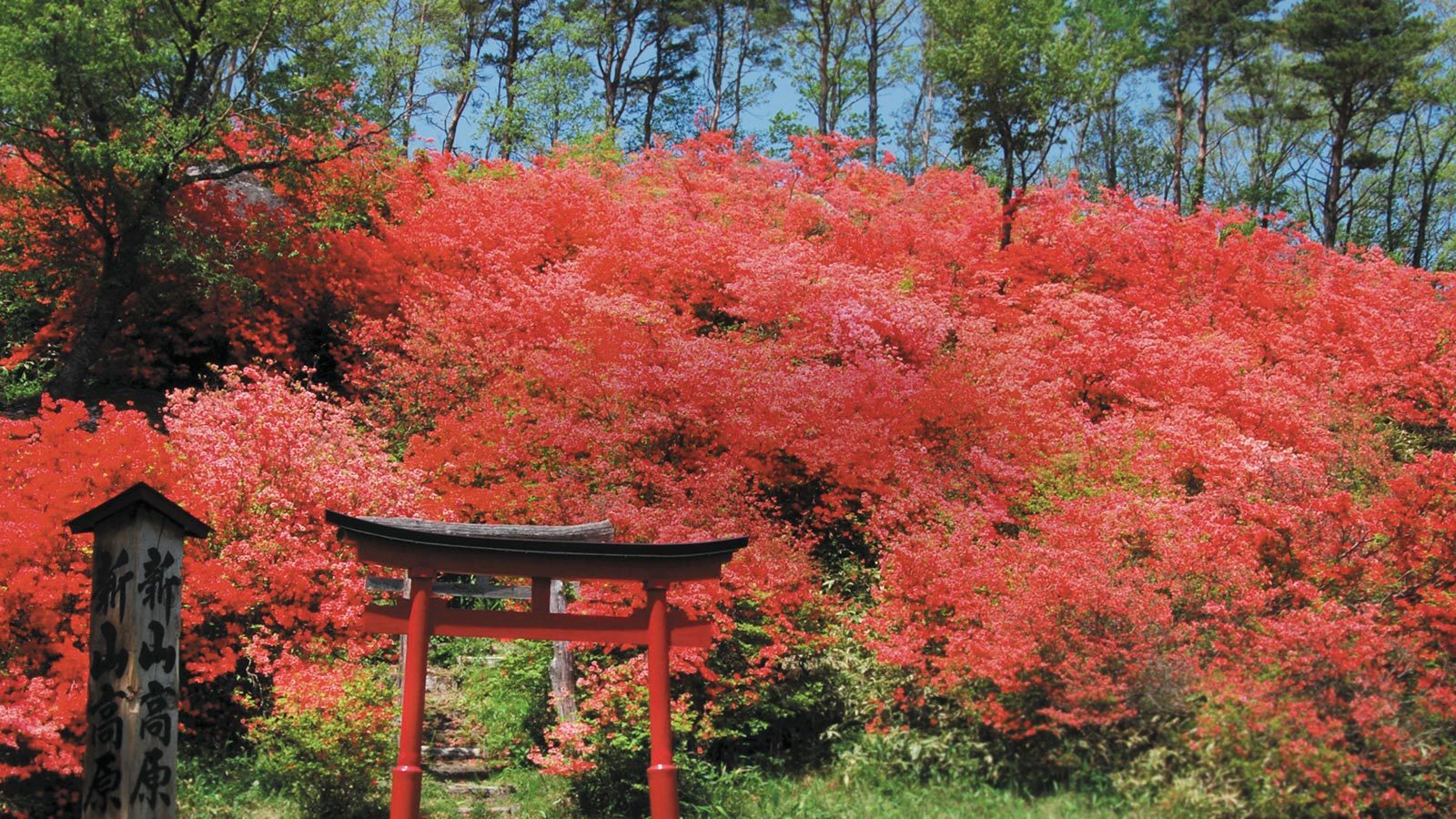 Shinyama Kogen Heights